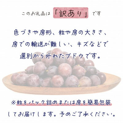 【ふるさと納税】【2026年先行予約】岡山　花笑み農園の 『訳ありニューピオーネ』1kg　WP-1【配送不可地域：離島・北海道・沖縄県】【1628312】