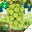 【ふるさと納税】岡山 花笑み農園の 『シャインマスカット』1kg(2房) S-1【9月下旬~順次発送】【配送不可地域:離島・北海道・沖縄県】【1628313】