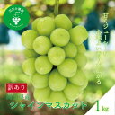 【ふるさと納税】岡山 花笑み農園『訳ありシャインマスカット』1kg WS-1【配送不可地域:離島・北海道・沖縄県】【1628321】