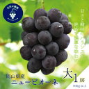 【ふるさと納税】岡山 花笑み農園の『ニューピオーネ』700g以上(大1房) P-大1【9月上旬~順次発送】【配送不可地域:離島・北海道・沖縄県】【1628329】