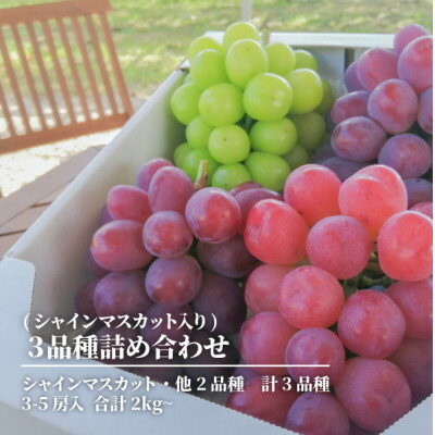 【ふるさと納税】【2026年先行予約】ぶどう3品種詰合せ(シャインマスカット入)3-5房入/計2kg～(岡山県産)【配送不可地域：離島】【1678561】