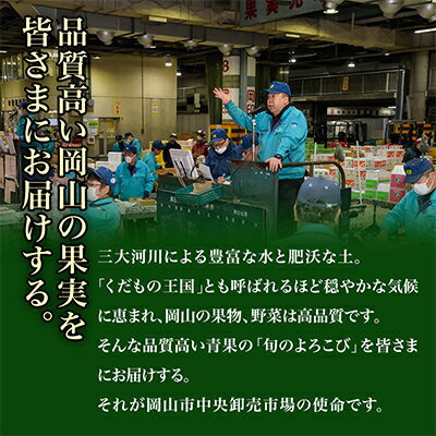 【ふるさと納税】【発送月固定定期便】A 岡山県産 シャインマスカット(晴王)・あたご梨ほか全3回【配送不可地域：離島・北海道・沖縄県】【4000246】