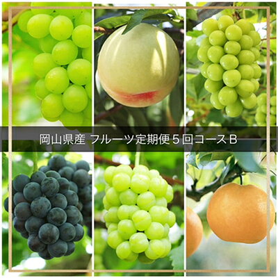 【発送月固定定期便】岡山県産 フルーツ定期便B全5回_ シャインマスカット 梨 なし ぶどう 葡萄 ブドウ 桃 もも 食べ比べ フルーツ 定期便 果物 くだもの 岡山県 津山市 産直 産地直送 送料無料 【配送不可地域：離島・北海道・沖縄県】【4006680】