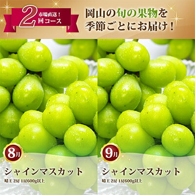 【ふるさと納税】【発送月固定定期便】岡山県産 シャインマスカット『晴王』定期便全2回_ シャインマスカット ぶどう 葡萄 ブドウ 種無し 大粒 果物 くだもの フルーツ 定期便 岡山県 津山市 産直 産地直送 送料無料 【配送不可地域：離島・北海道・沖縄県】【4007310】