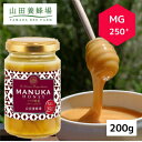 【ふるさと納税】【毎月定期便】マヌカ蜂蜜(クリームタイプ)MG250+(22178)全3回【4008986】