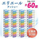 【ふるさと納税】【3ヵ月毎定期便】エリエール ティシュー 180組5箱×12パック(60箱) 全3回【配送不可地域:離島・北海道・沖縄県】【4013083】