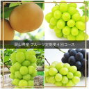 【ふるさと納税】【発送月固定定期便】岡山県産 フルーツ定期便全4回【配送不可地域:離島・北海道・沖縄県】【4055838】