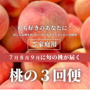 【ふるさと納税】【発送月固定定期便】桃好きの為の、桃3回便!(家庭用5-7玉入)(岡山県産)全3回【配送不可地域:離島】【4061982】