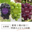【ふるさと納税】【発送月固定定期便】量も質も満足の葡萄3種が届く!季節のぶどう3回便!(岡山県産)全3回【配送不可地域:離島】【4061985】