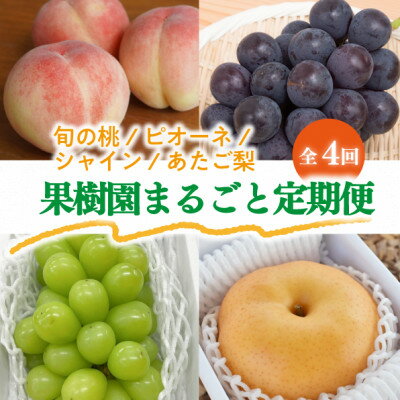 【ふるさと納税】【発送月固定定期便】【2026年先行予約】桃と葡萄と梨が少しずつ届く!【お試し便】(岡山産)全4回【配送不可地域：離島・北海道・沖縄県】【4061986】
