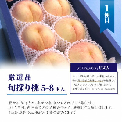 【ふるさと納税】【発送月固定定期便】桃、ぶどう、梨の最上級品を旬にお届けする3回便!(岡山県産)全3回【配送不可地域：離島】【4062767】