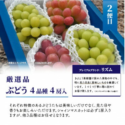 【ふるさと納税】【発送月固定定期便】桃、ぶどう、梨の最上級品を旬にお届けする3回便!(岡山県産)全3回【配送不可地域：離島】【4062767】