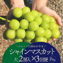 【ふるさと納税】【発送月固定定期便】【きよとうファーム】シャインマスカットを楽しむ満足便!/全便計3.9kg〜全3回【配送不可地域:離島】【4065362】