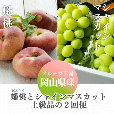 【ふるさと納税】【発送月固定定期便】【きよとうファーム】蟠桃とシャインマスカットの上級品を岡山から産地直送全2回【配送不可地域:離島】【4065825】