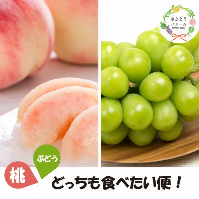 【ふるさと納税】【発送月固定定期便】【2026年先行予約】桃と葡萄どっちも食べたい便!【お試し便】(岡山県産)全2回【配送不可地域：離島・北海道・沖縄県】【4067481】