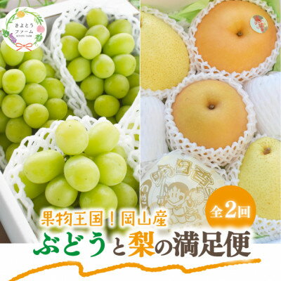 【ふるさと納税】【発送月固定定期便】【2026年先行予約】シャインマスカット計2kg～と梨2-3種上級品岡山産全2回【配送不可地域：離島】【4067489】