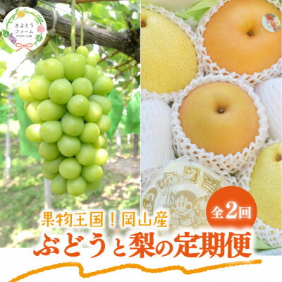 【ふるさと納税】【発送月固定定期便】【2026年先行予約】シャインマスカット大2房と梨2-3種上級品(岡山産)全2回【配送不可地域：離島】【4067496】