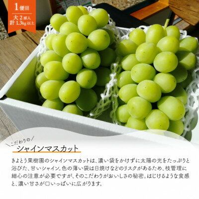 【ふるさと納税】【発送月固定定期便】【2026年先行予約】シャインマスカット大2房と梨2-3種上級品(岡山産)全2回【配送不可地域：離島】【4067496】