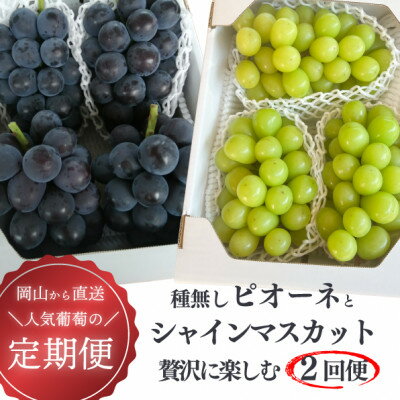 【ふるさと納税】【発送月固定定期便】【2026年先行予約】ピオーネとシャインマスカットの2回便!(岡山県産)全2回【配送不可地域：離島】【4067502】