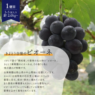 【ふるさと納税】【発送月固定定期便】【2026年先行予約】ピオーネとシャインマスカットの2回便!(岡山県産)全2回【配送不可地域：離島】【4067502】