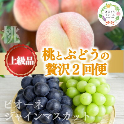 【ふるさと納税】【発送月固定定期便】【2026年先行予約】桃とピオーネ&シャインマスカット贅沢2回便(岡山産)全2回【配送不可地域：離島・北海道・沖縄県】【4067689】