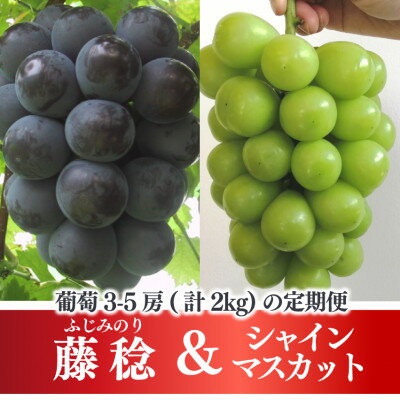 【ふるさと納税】【発送月固定定期便】【2026年先行予約】藤稔とシャインマスカット各2kg入の定期便(岡山産)全2回【配送不可地域：離島】【4068046】