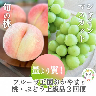 【ふるさと納税】【発送月固定定期便】【2026年先行予約】桃とシャインマスカット どっちも食べたい便(岡山産)全2回【配送不可地域：離島】【4071129】