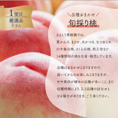 【ふるさと納税】【発送月固定定期便】【2026年先行予約】厳選された大玉桃3玉と大粒シャインマスカット定期便!全2回【配送不可地域：離島】【4071130】