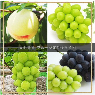 【ふるさと納税】【発送月固定定期便】岡山県産 フルーツ定期便全4回【配送不可地域：離島・北海道・沖縄県】【4077003】