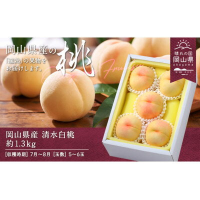 【ふるさと納税】【2026年発送】岡山県産　清水白桃　約1.3kg(5～6玉)【配送不可地域：離島】【1614026】