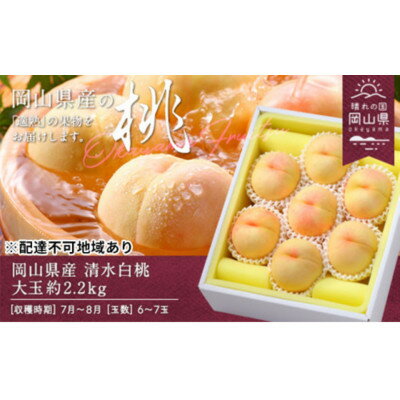 【ふるさと納税】【2026年発送】岡山県産　清水白桃　約2.2kg(大玉6～7玉)【配送不可地域：離島】【1614028】