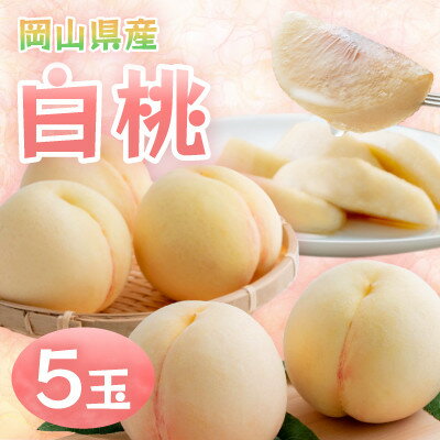 【ふるさと納税】【2026年発送】岡山県産白桃 5玉・約1.3kg(クール便)【配送不可地域：離島】【1614347】