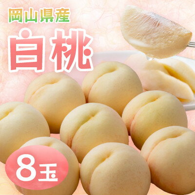 【ふるさと納税】【2026年発送】岡山県産白桃　8玉・約2.0kg(クール便)【配送不可地域：離島】【1614349】