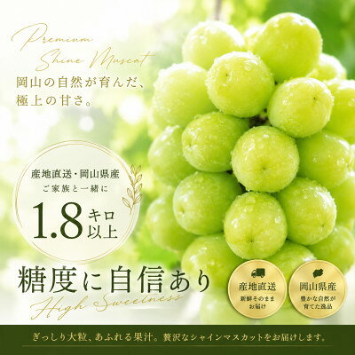 【ふるさと納税】「1.8キロ以上」産地直送・岡山県産シャインマスカット【配送不可地域：離島】【1754314】