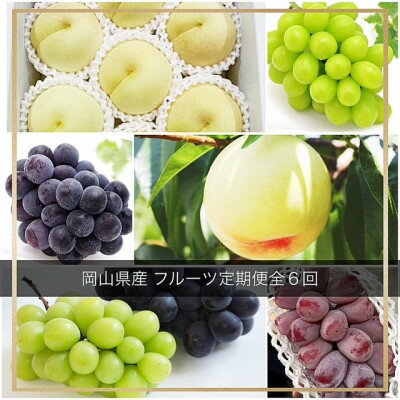 名称 【発送月固定定期便】岡山県産 フルーツ定期便全6回 保存方法 冷蔵 発送時期 【1回目】発送月の前月末日までのお支払いで発送月中旬より順次発送【2回目以降】発送月中旬より順次発送 提供元 株式会社山博（岡田青果）（津山市） 配達外のエ...
