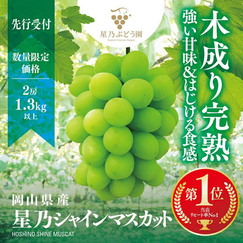 [三つ星ブランド]星乃シャインマスカット 数量限定 (岡山県産) 2房(1.3kg以上)_ シャインマスカット ぶどう 葡萄 ブドウ 果物 くだもの マスカット フルーツ 人気 美味しい [配送不可地域:離島・北海道・沖縄県]