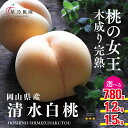 【ふるさと納税】【清水白桃】岡山県産 三つ星 星乃桃園 1.2kg(4~5玉)/1.5kg(5~6玉)/780g_ 白桃 桃 もも 清水白桃 しみずはくとう 最高品種 白い宝石 果物 フルーツ 贈答 ギフト 化粧箱 人気 岡山県 津山市 送料無料 【配送不可地域:離島・北海道・沖縄県】【G1614283】