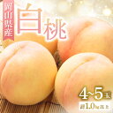 【ふるさと納税】◆先行予約◆ 岡山県産 岡山白桃4~5玉 2026年発送【配送不可地域:離島・北海道・沖縄県】【1349771】