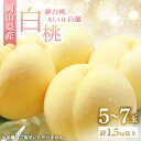 【ふるさと納税】◆先行予約◆ 岡山県産 岡山白桃5〜7玉(2) 2026年発送【配送不可地域:離島・北海道・沖縄県】【1349775】