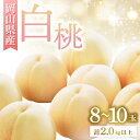【ふるさと納税】◆先行予約◆ 岡山県産 岡山白桃8〜10玉 2026年発送【配送不可地域:離島・北海道・沖縄県】【1349776】