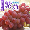 【ふるさと納税】◆先行予約◆ 岡山県産 冬ぶどう「紫苑」 2025年発送【配送不可地域:離島・北海道・沖縄県】【1350315】