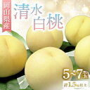 【ふるさと納税】◆先行予約◆ 岡山県産 清水白桃5〜7玉 2026年発送【配送不可地域:離島・北海道・沖縄県】【1349770】