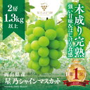 【ふるさと納税】【三つ星ブランド】星乃シャインマスカット 数量限定 (岡山県産) 2房(1.3kg以上)_ シャインマスカット ぶどう 葡萄 ブドウ 果物 くだもの マスカット フルーツ 人気 美味しい 【配送不可地域:離島・北海道・沖縄県】【1418979】