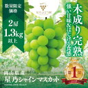 【ふるさと納税】【三つ星ブランド】星乃シャインマスカット 数量限定 (岡山県産) 2房(1.3kg以上)_ シャインマスカット ぶどう 葡萄 ブドウ 果物 くだ...