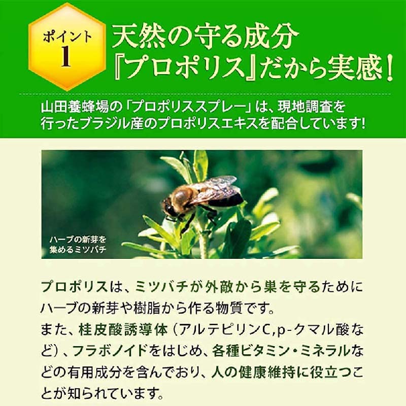 【ふるさと納税】山田養蜂場のプロポリススプレー(11104) TY0-0085