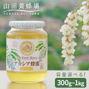 【ふるさと納税】ルーマニア産アカシア蜂蜜300g/500g/1kg瓶/1kg袋_ はちみつ ふるさと納税 アカシア蜂蜜 蜂蜜 ハチミツ 高級はちみつ クセが少な...