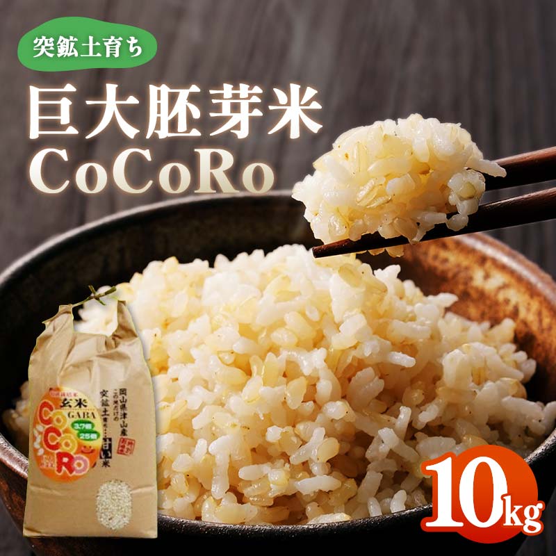 【ふるさと納税】＜突鉱土育ち＞巨大胚芽米CoCoRo 10kg TY0-0152