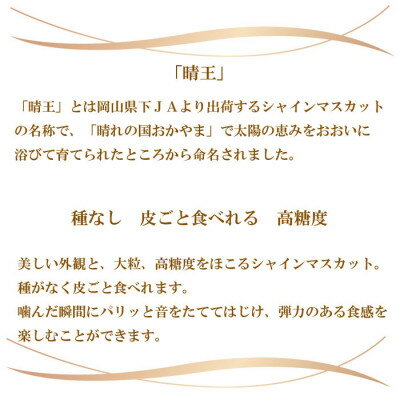 【ふるさと納税】＜先行予約＞【2024年7月発送開始】シャインマスカット 晴王 600g×2房 TY0-0240