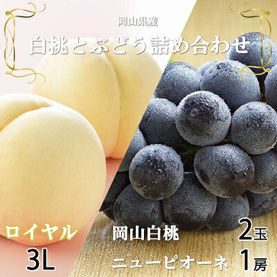 ＜先行予約＞岡山白桃ロイヤル3Lサイズ300g×2玉・ニューピオーネ600g×1房 TY0-0251