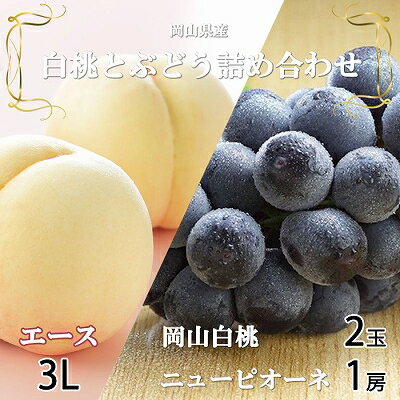 ＜先行予約＞岡山白桃エース3Lサイズ300g×2玉・ニューピオーネ600g×1房 TY0-0252